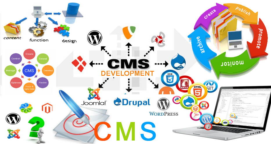 website design companies in Hyderabad